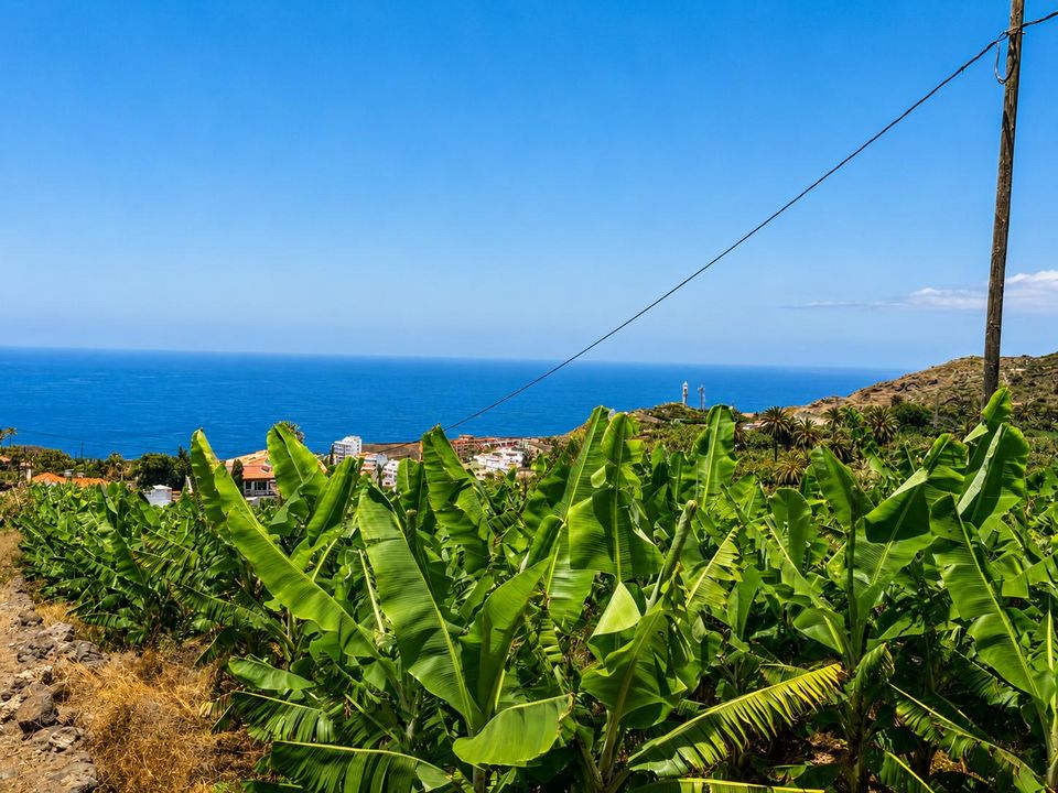 Farm hus i San Marcos, Tenerife - foto 2